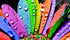 Water Drops on Colorful Flower Petals